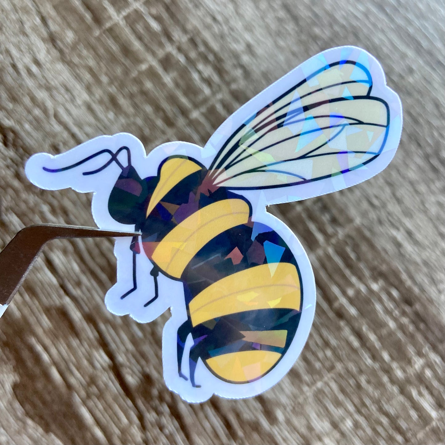 Mr. Bee