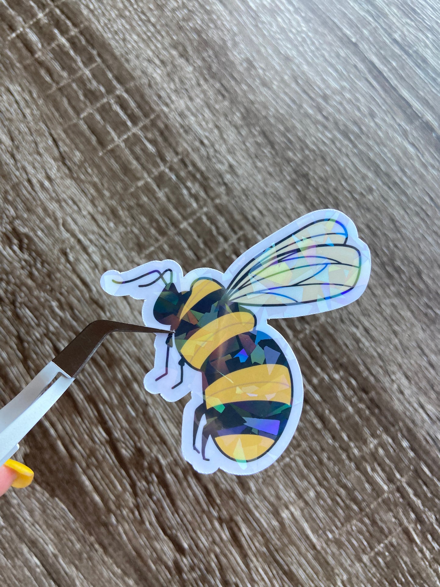 Mr. Bee